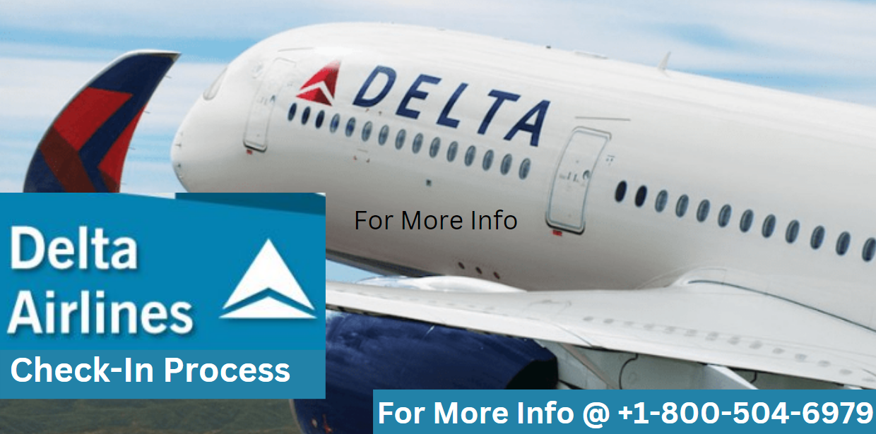 Delta Airlines Check In Process 