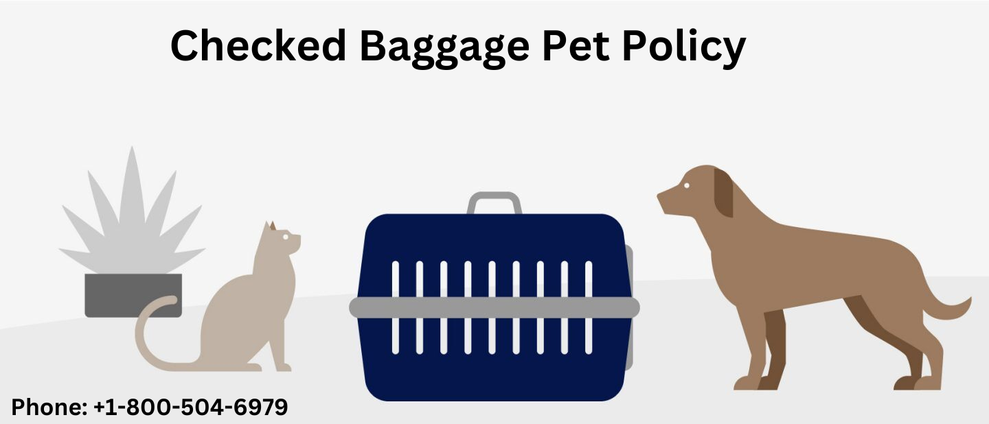 Checked Baggage Pet Policy