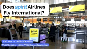 Does Spirit Airlines Fly International