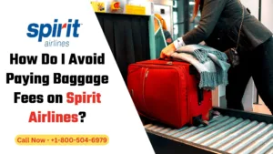 How Do I Avoid Paying Baggage Fees on Spirit Airlines