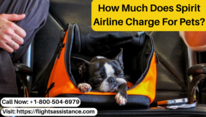 How Much Does Spirit Airline Charge For Pets