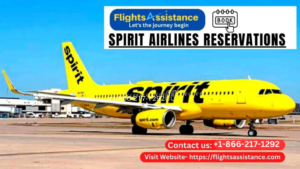 Spirit Airlines Reservations