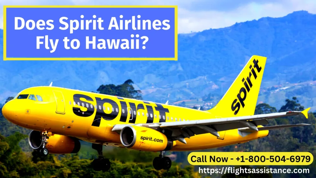 Does Spirit Airlines Fly to Hawaii