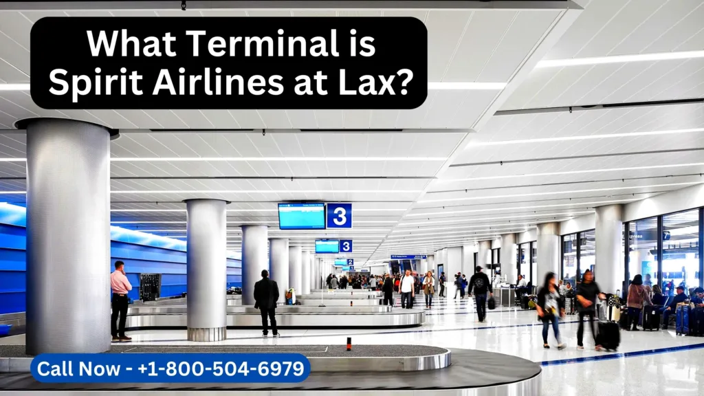 What Terminal is Spirit Airlines at Lax