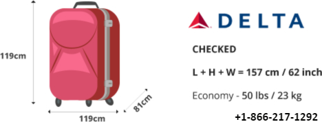 Luggage dimensions delta on sale