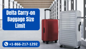 Delta Air Lines Carry-on Size