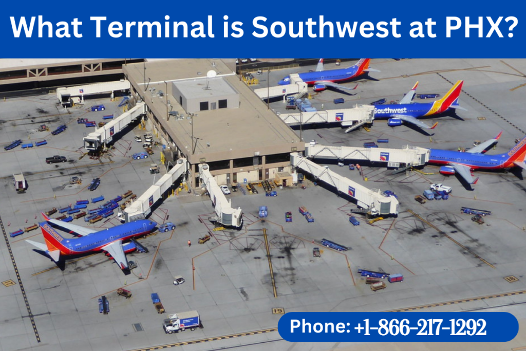 What Terminal is Southwest at PHX