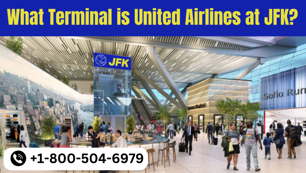 What Terminal is United Airlines at JFK