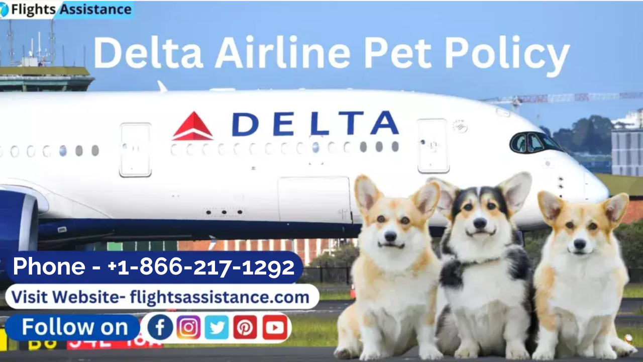 Delta cargo outlet pets booking