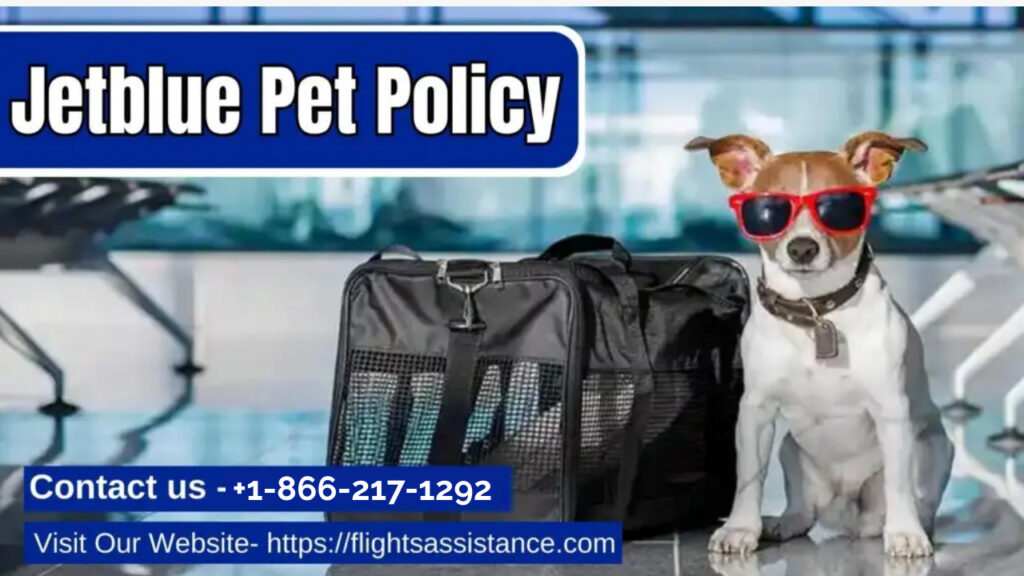 JetBlue Pet Policy