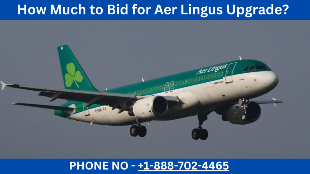 How Much to Bid for Aer Lingus Upgrade