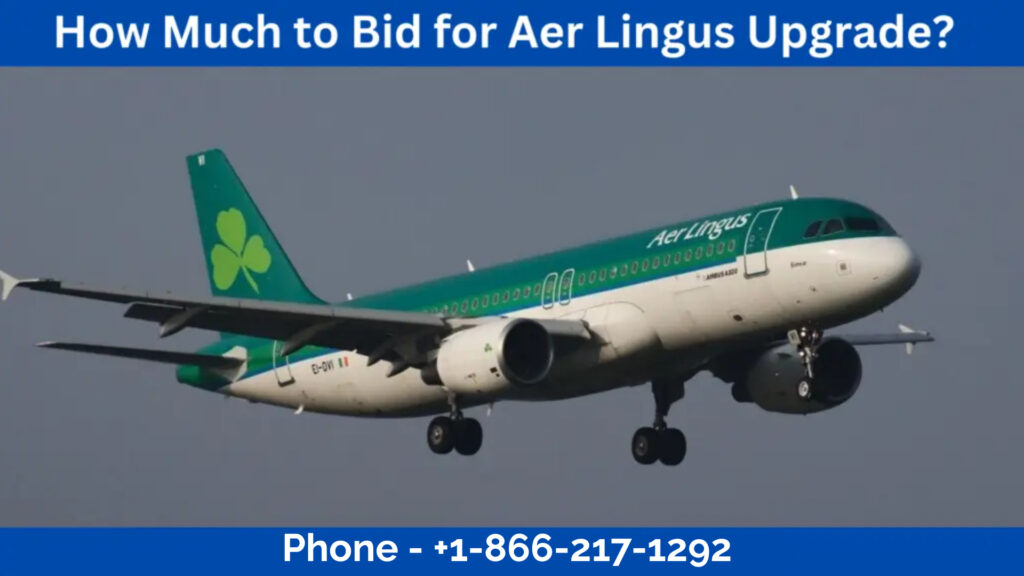 How Much to Bid for Aer Lingus Upgrade