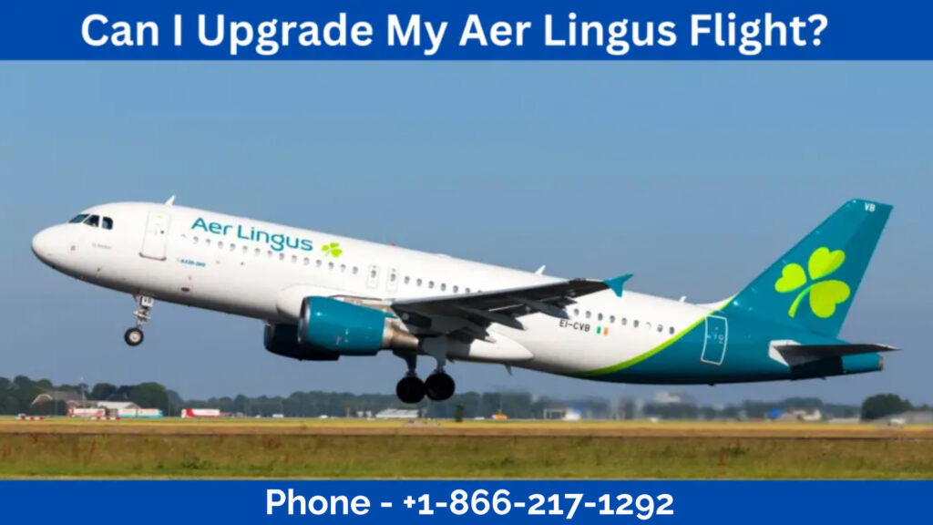 Can I Upgrade My Aer Lingus Flight