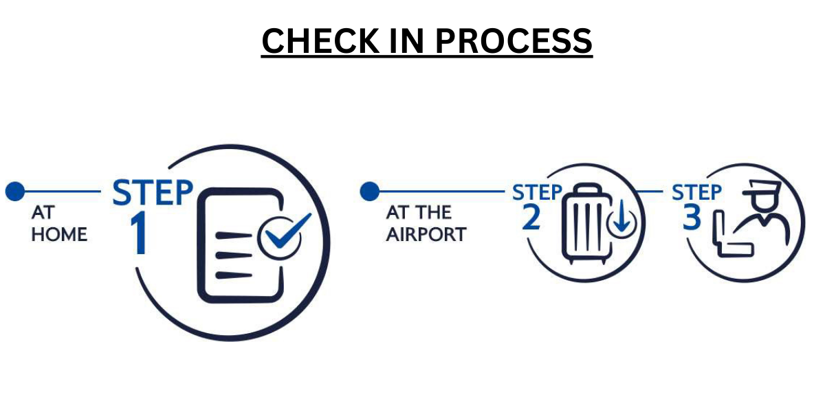 Aero México online Check-in