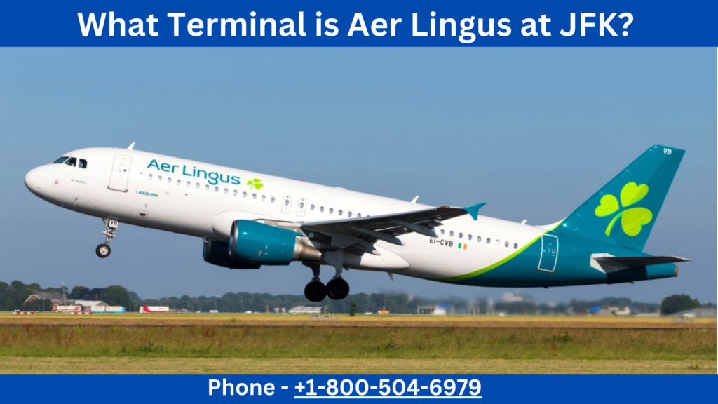 What Terminal is Aer Lingus at JFK