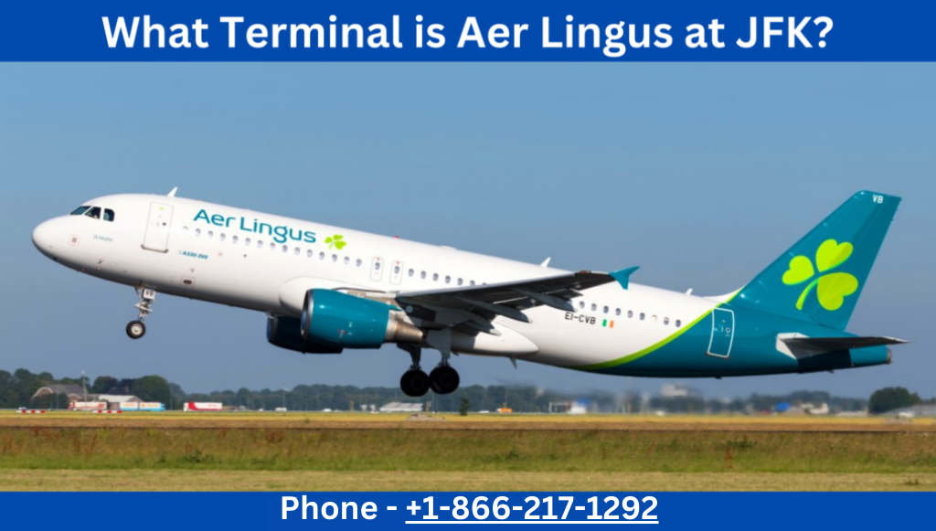 What Terminal is Aer Lingus at JFK