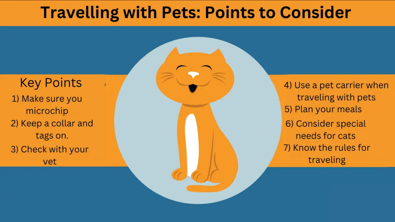 Travelling with Pets: Points to Consider