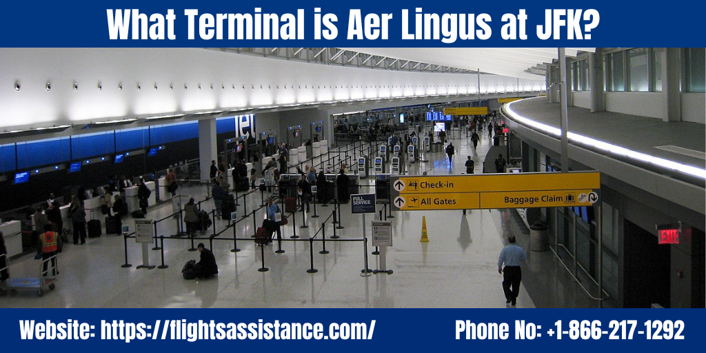 What Terminal is Aer Lingus at JFK