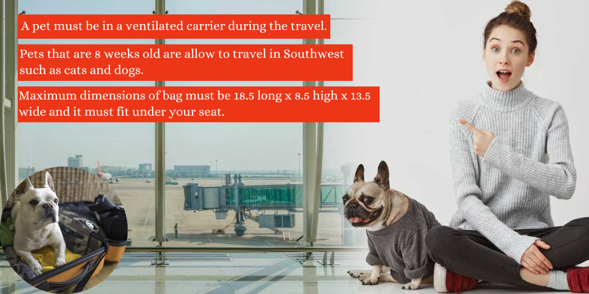 restrictions for pets on southwest airlines