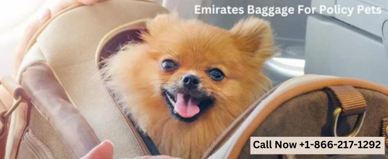 Emirates Baggage Policy for Pets