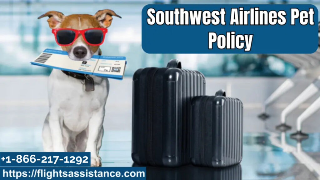 Southwest Airlines Pet Policy