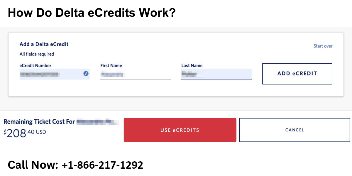 How Do Delta eCredits Work