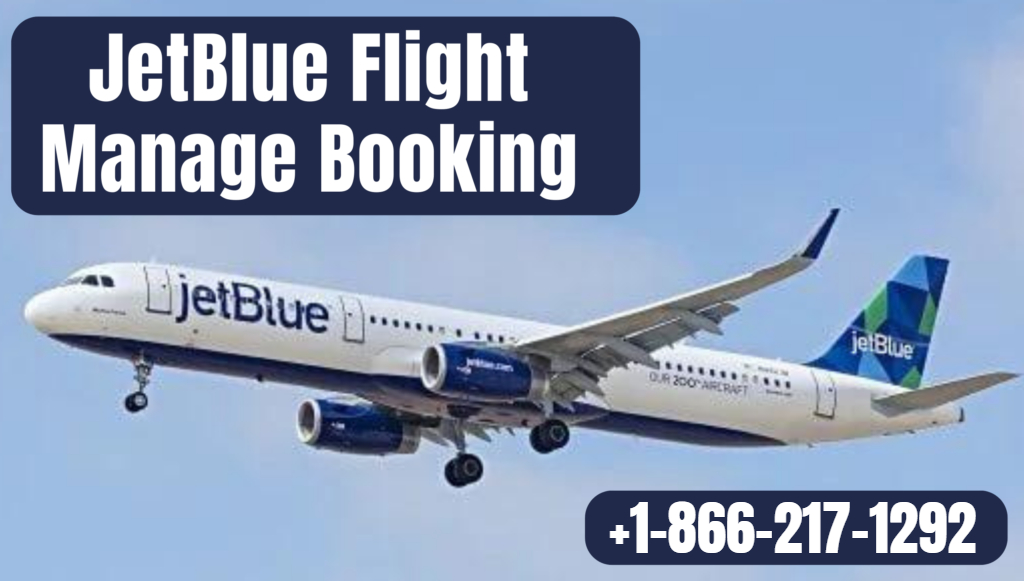 JetBlue Manage Flight