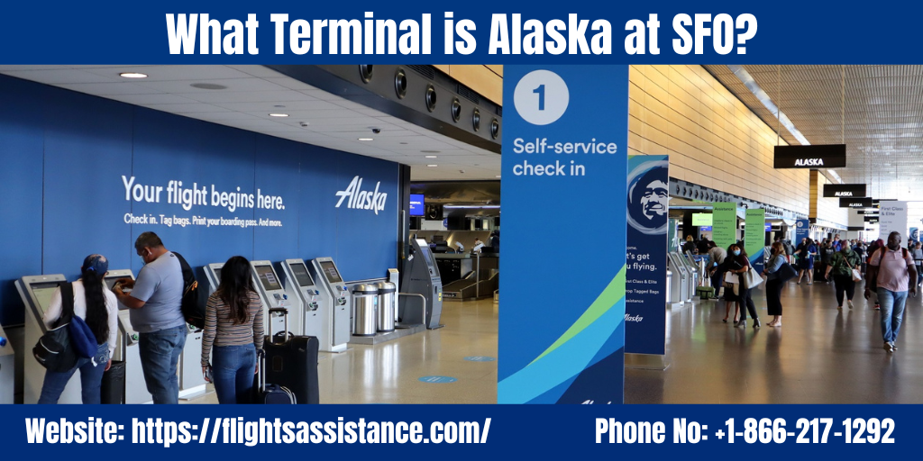 What Terminal is Alaska at SFO