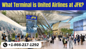 What Terminal is United Airlines at JFK