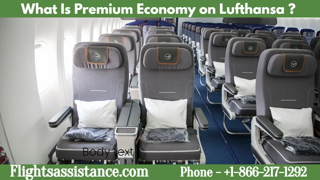 What Is Premium Economy on Lufthansa