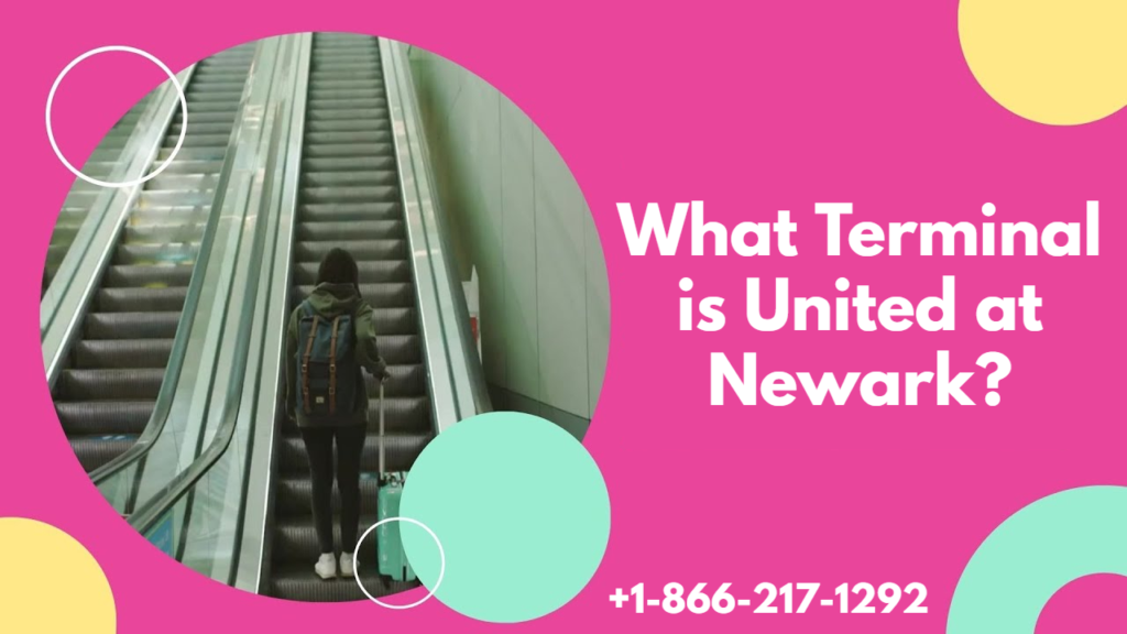What Terminal is United at Newark