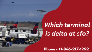 which terminal is delta at sfo