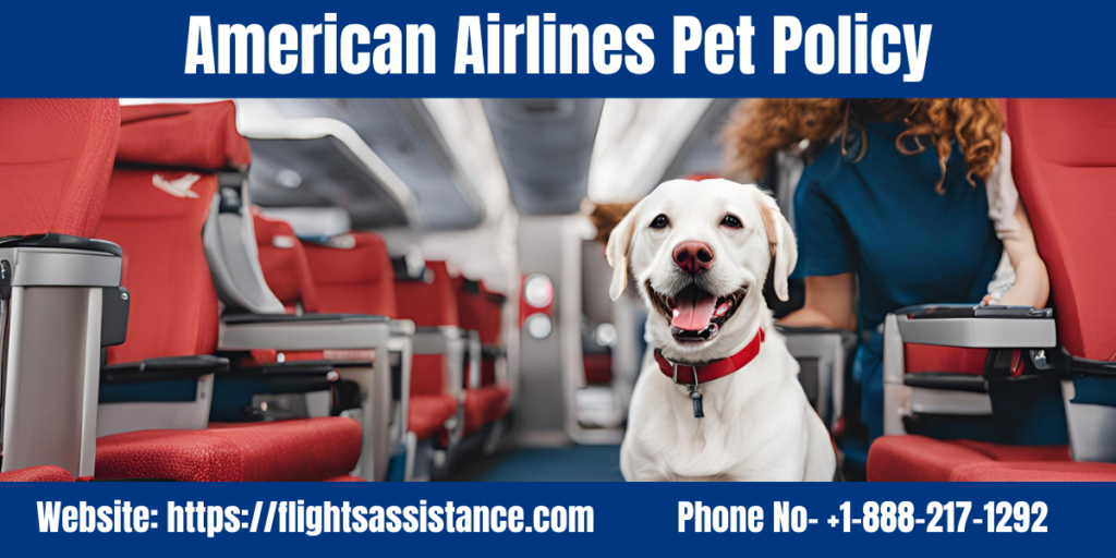 American Airlines Pet Policy