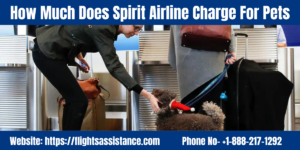 How Much Does Spirit Airline Charge For Pets