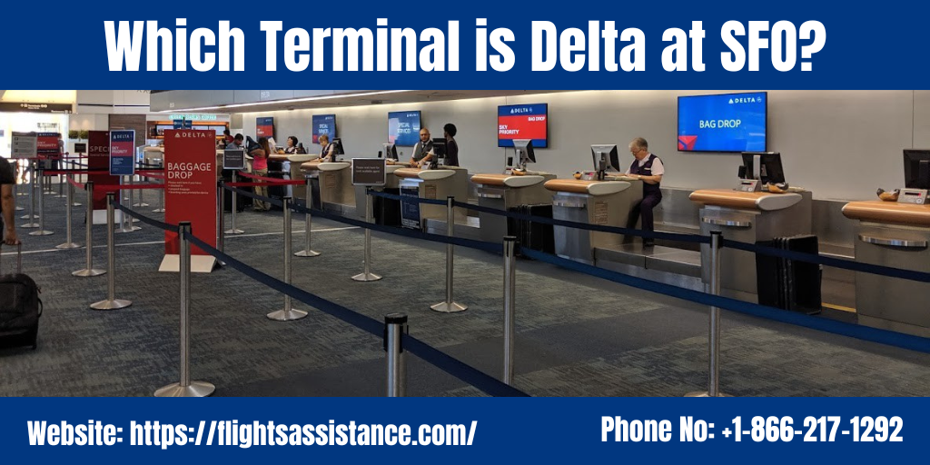 Which Terminal is Delta at SFO?