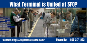 What Terminal is United at SFO