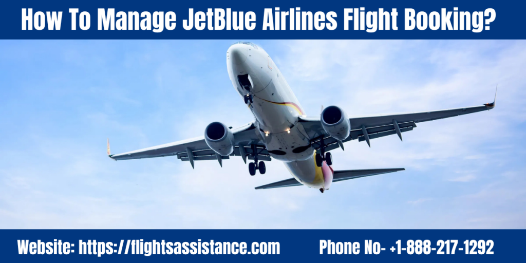 jetblue manage flight