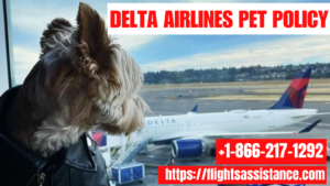 Delta Airlines Pet Policy