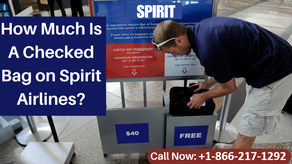 How Much Is A Checked Bag on Spirit Airlines