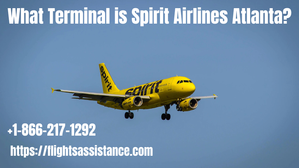 What Terminal is Spirit Airlines Atlanta