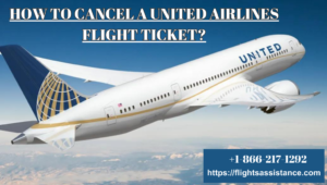 united airlines cancel flight