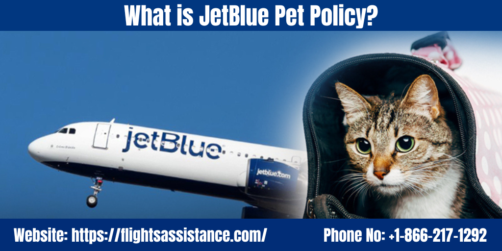 JetBlue Pet Policy